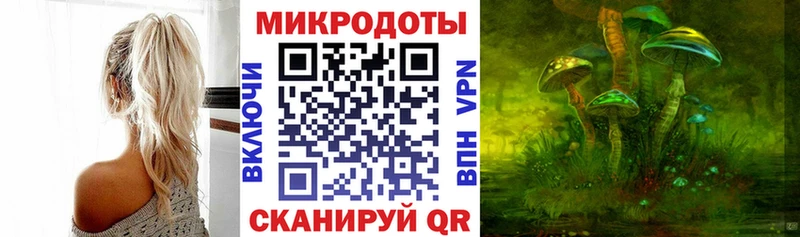 Псилоцибиновые грибы Psilocybine cubensis  Братск 