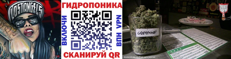 Каннабис OG Kush  где найти   Братск 